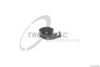 TRUCKTEC AUTOMOTIVE 01.62.014 Trim/Protective Strip, mudguard
